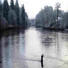 Obrázok užívateľa