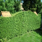 Obrázok užívateľa