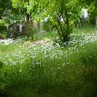 Obrázok užívateľa