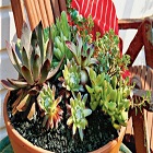 Obrázok užívateľa