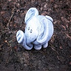 Obrázok užívateľa