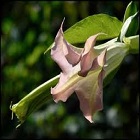 Obrázok užívateľa