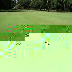 Obrázok užívateľa