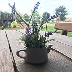 Obrázok užívateľa