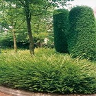 Obrázok užívateľa