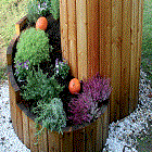 Obrázok užívateľa