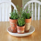 Obrázok užívateľa