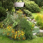 Obrázok užívateľa