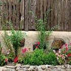 Obrázok užívateľa